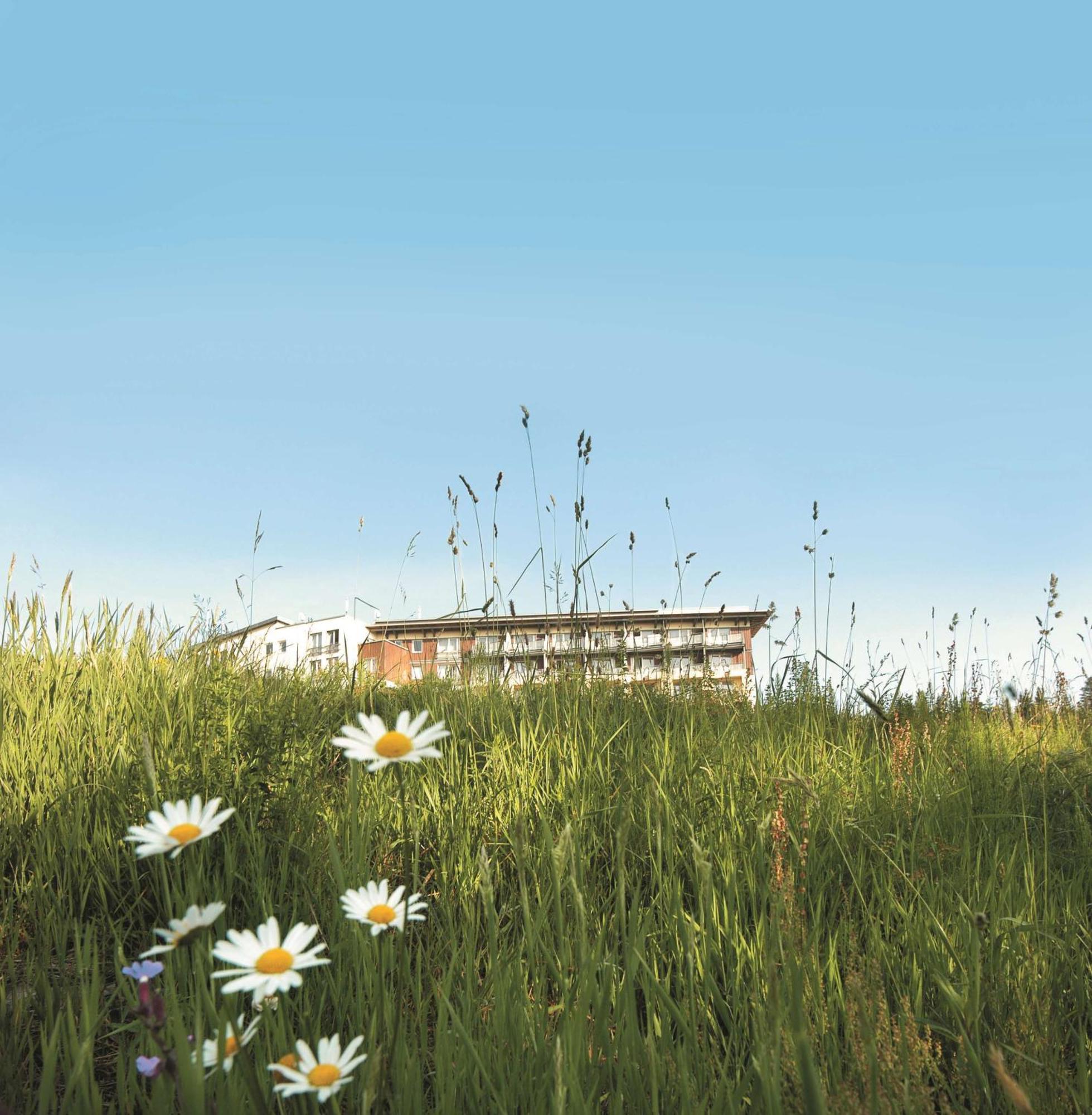 Wellness-& Nationapark Hotel Schliffkopf, Bwsc بيرسبرون المظهر الخارجي الصورة
